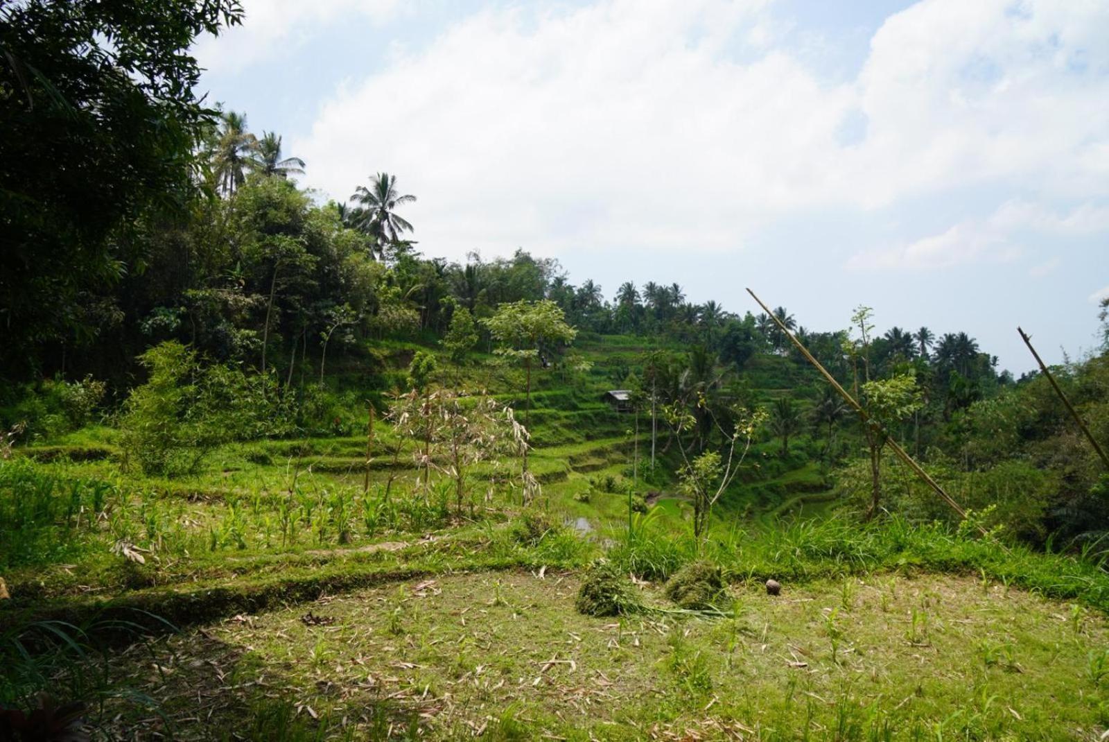 Tetebatu Indah Homestay الغرفة الصورة
