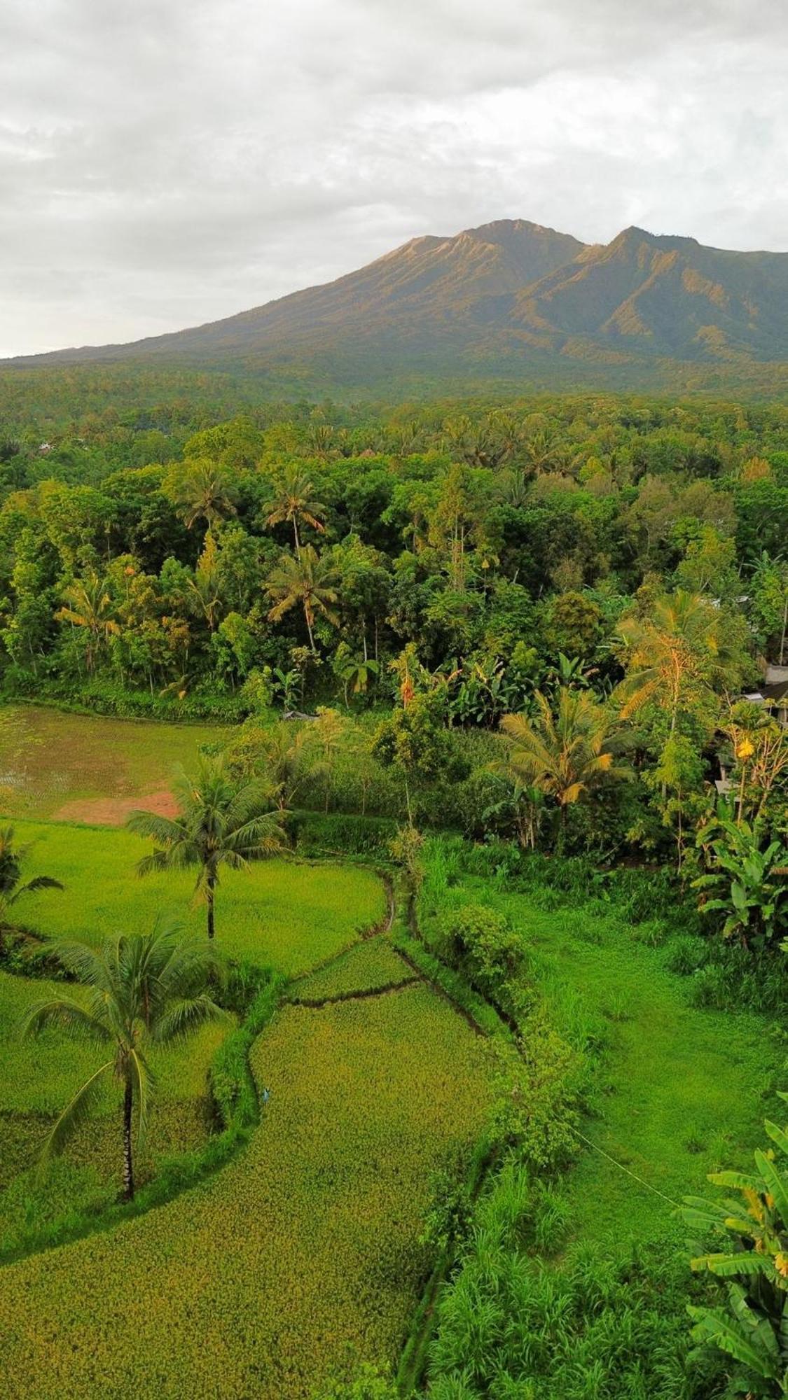 Tetebatu Indah Homestay المظهر الخارجي الصورة