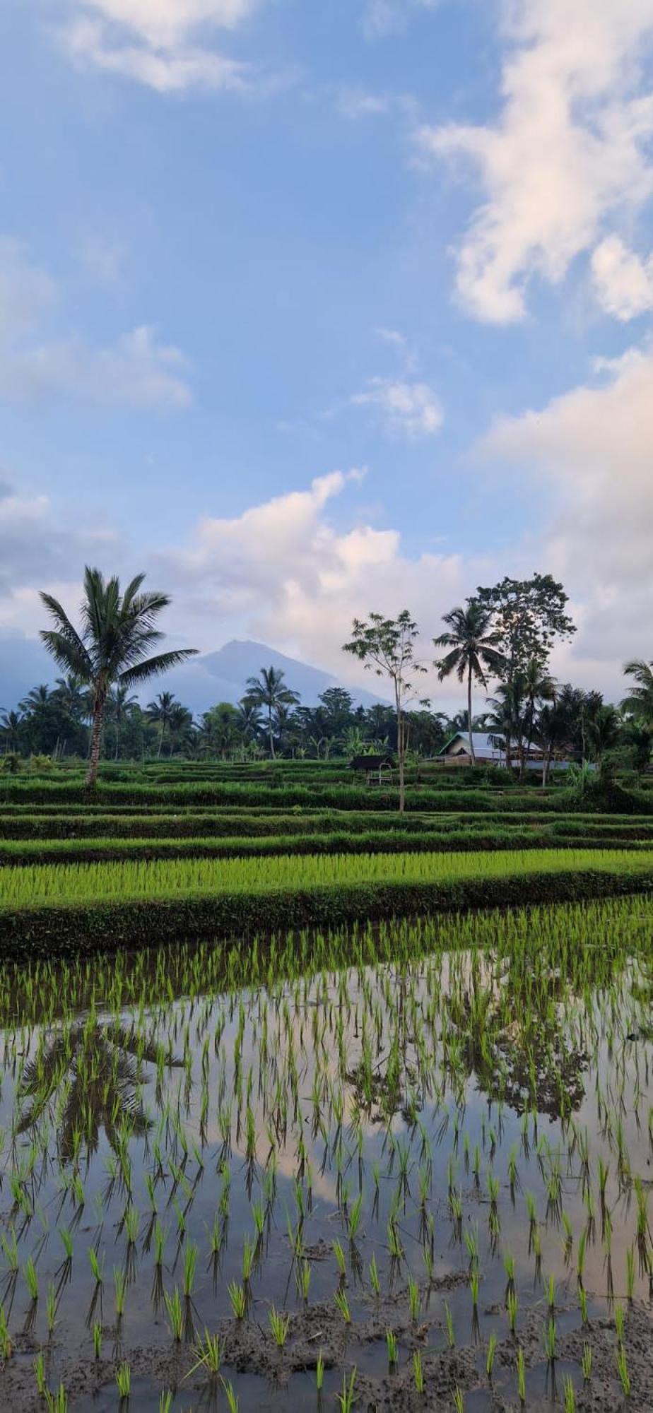 Tetebatu Indah Homestay المظهر الخارجي الصورة