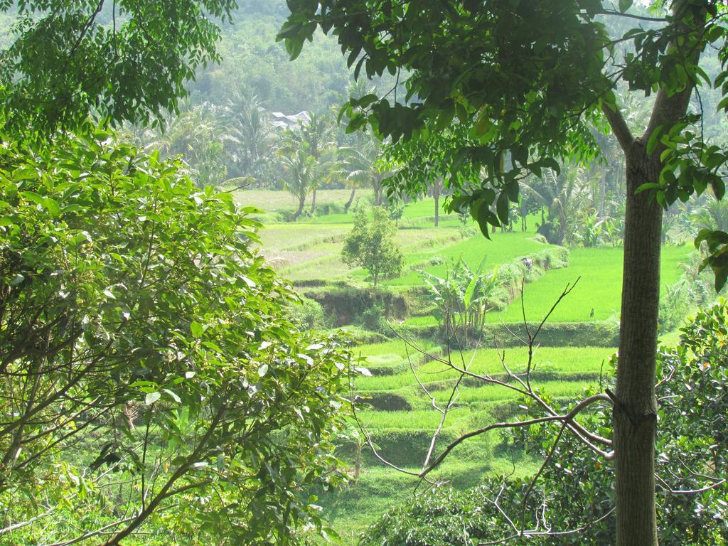 Tetebatu Indah Homestay المظهر الخارجي الصورة