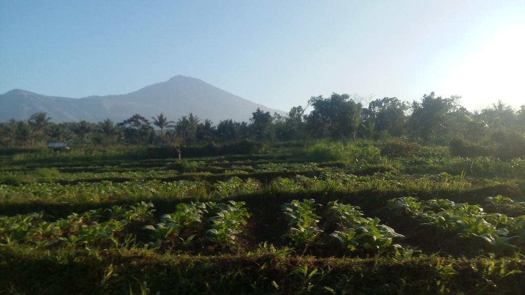 Tetebatu Indah Homestay المظهر الخارجي الصورة