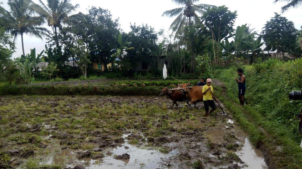 Tetebatu Indah Homestay المظهر الخارجي الصورة