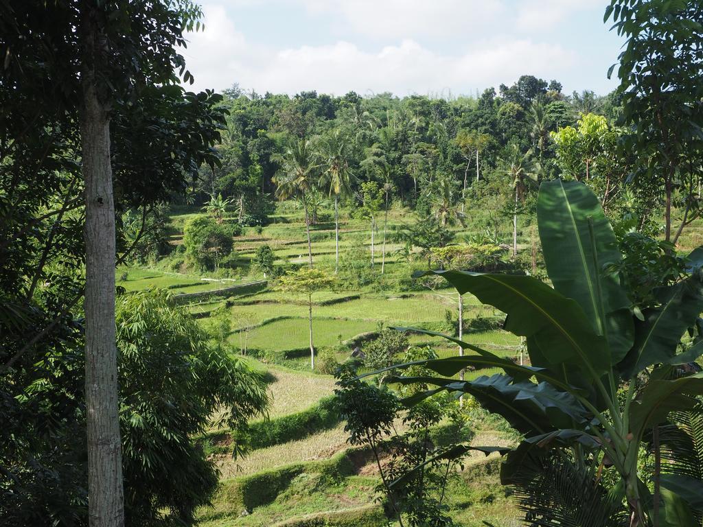 Tetebatu Indah Homestay المظهر الخارجي الصورة