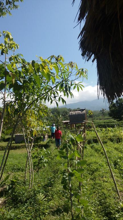 Tetebatu Indah Homestay المظهر الخارجي الصورة