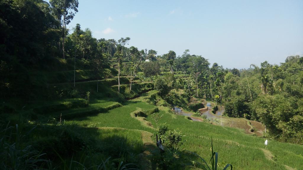 Tetebatu Indah Homestay المظهر الخارجي الصورة