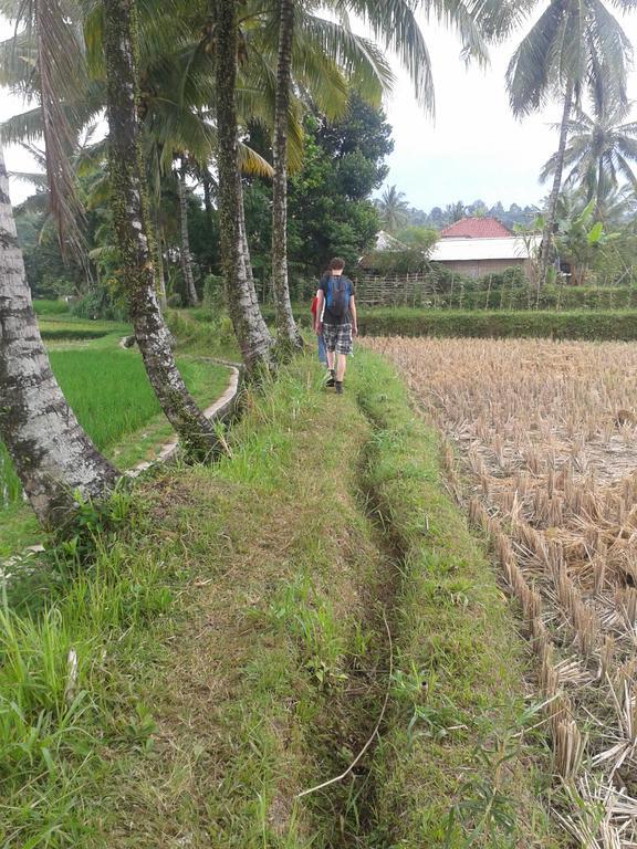 Tetebatu Indah Homestay المظهر الخارجي الصورة