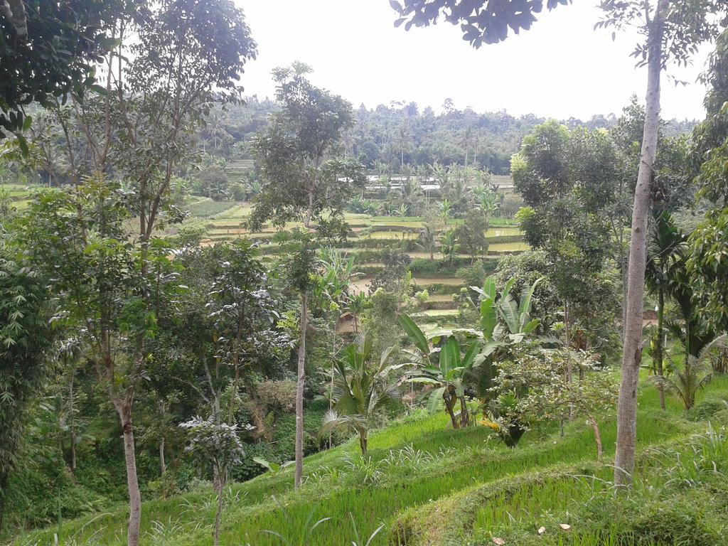 Tetebatu Indah Homestay المظهر الخارجي الصورة