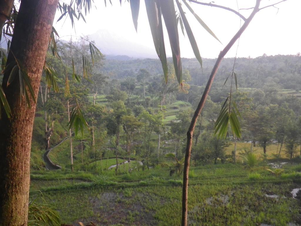 Tetebatu Indah Homestay المظهر الخارجي الصورة