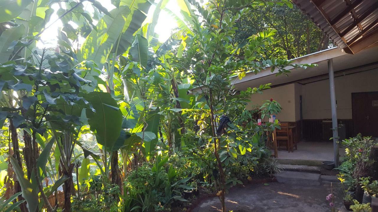 Tetebatu Indah Homestay المظهر الخارجي الصورة